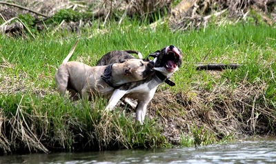 Résultat de recherche: Tu me rends ce que tu m'as pris...