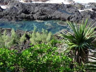 Résultat de recherche: bassin naturel