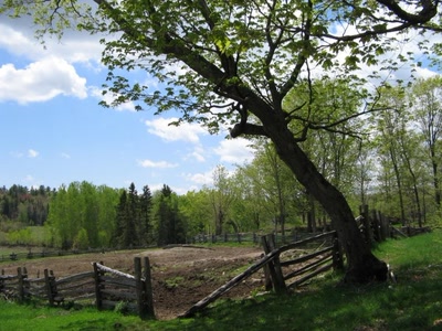 Résultat de recherche: Courbature