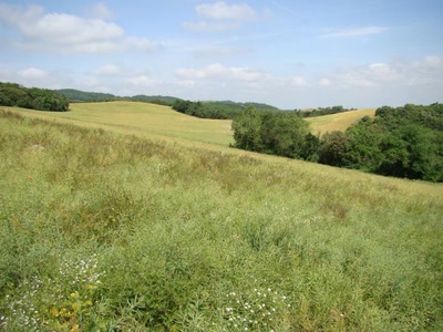 Résultat de recherche: paysage Audois