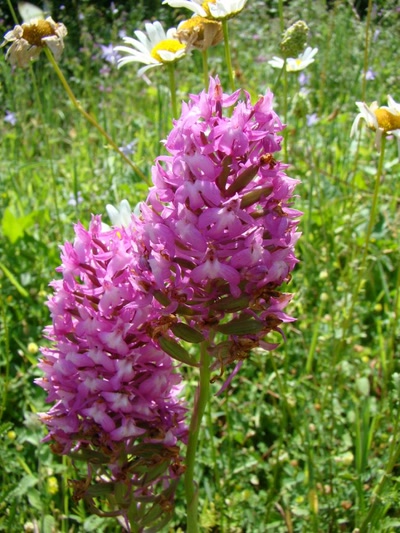 Œuvre de douze7: encore une