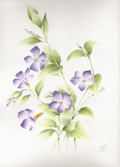 Résultat de recherche: Pervenches