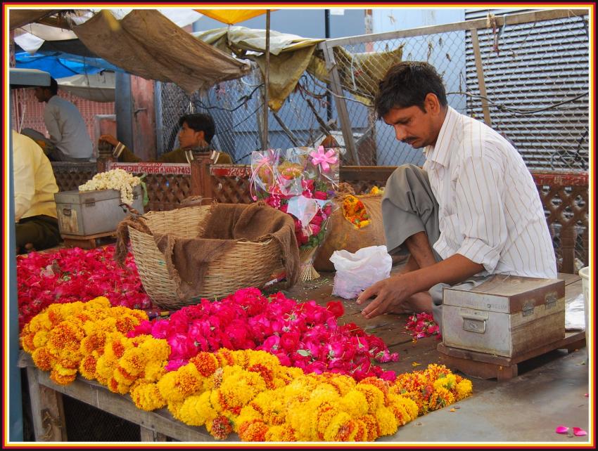 Marchand de fleurs à Jaipur (Rajasthan)