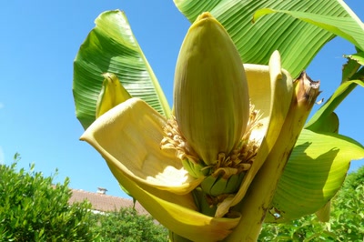 Aperçu de la galerie de Ondine