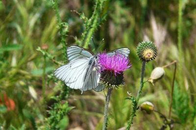 Résultat de recherche: Fais-moi une place !