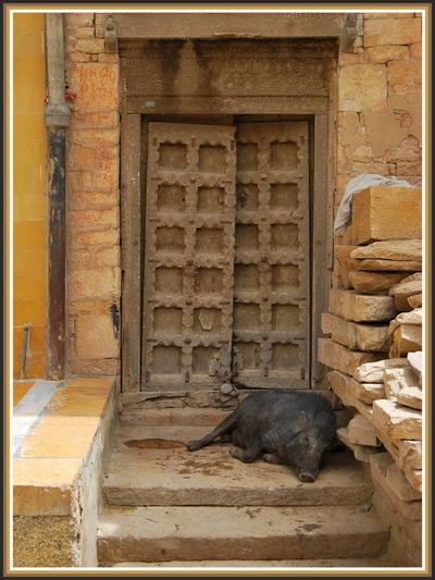 Dans les rues de Jaisalmer (Rajasthan)