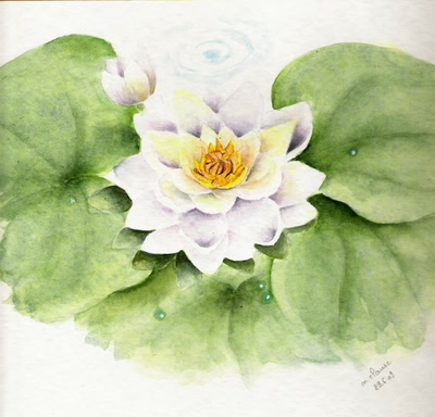 Résultat de recherche: NENUPHAR