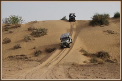 Safari à Manwar - Rajasthan