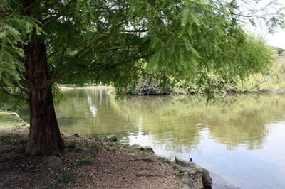 Résultat de recherche: Parque Isabel la Católica, Gijón (Asturias)