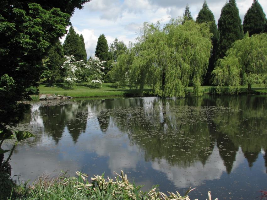 Jard.Botanique Van Dusen Vancouver
