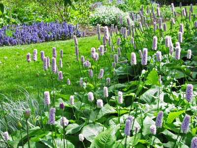 Résultat de recherche: Tapis de fleurs au parc