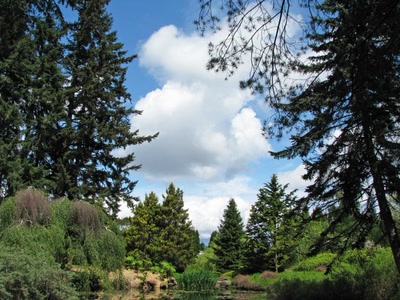 Résultat de recherche: Jard.Botanique Van Dusen Vancouver