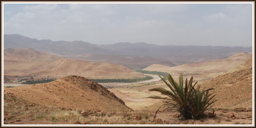 Paysage à Talliouine