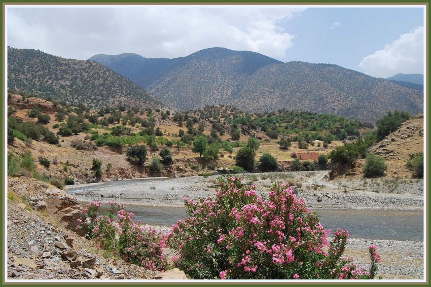 Paysage à Talliouine
