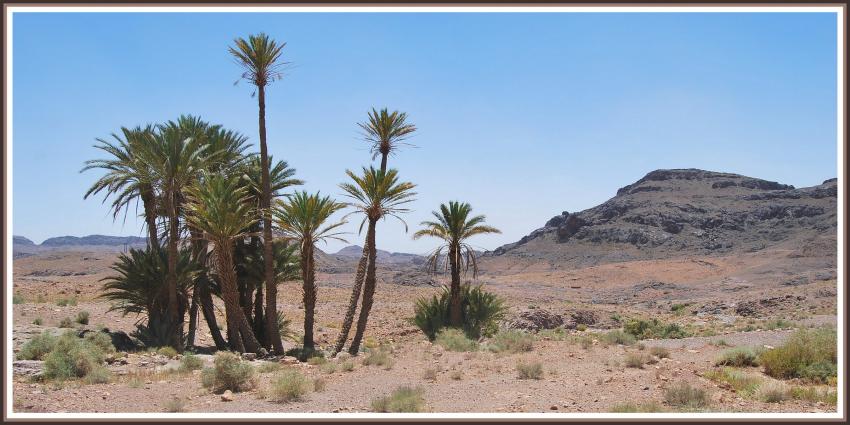 Paysage à Ouarzazate