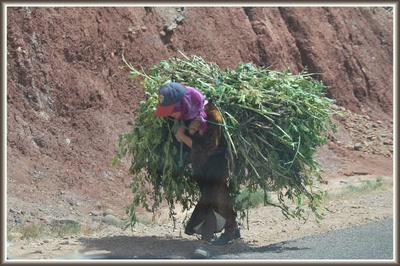 Porteuse au Maroc