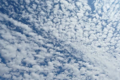 Des moutons plein le ciel !