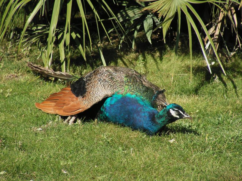 Après la roue, le repos !