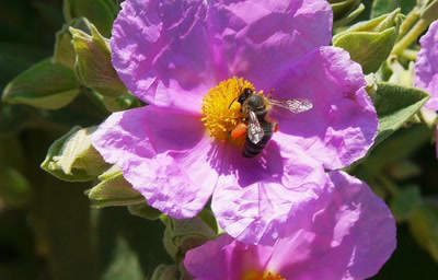 Résultat de recherche: Je fais ma pelote !
