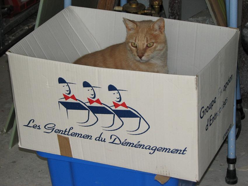 Pret pour un long voyage ?