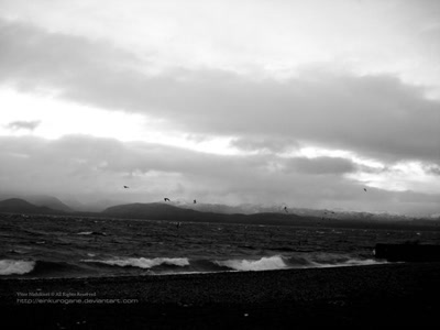 Œuvre de EinKurogane: Flying like the birds