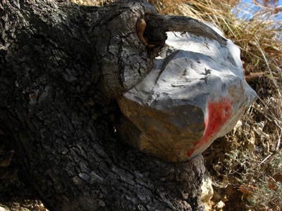 Résultat de recherche: Le mangeur de pierres