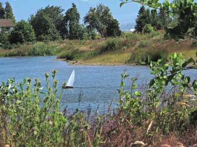 Résultat de recherche: Batreau modèle