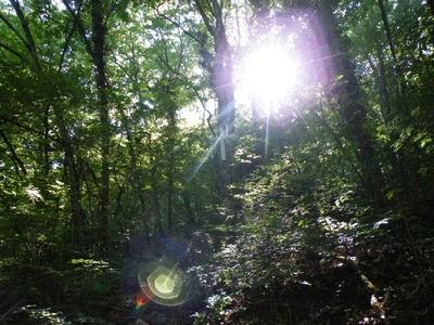 Résultat de recherche: paysage