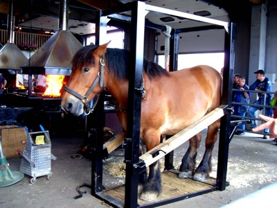 Œuvre de marin: a la foire agricole de Libramont(B)