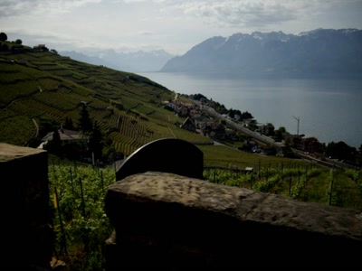 Œuvre de Walkyrie: Lavaux avant l'orage