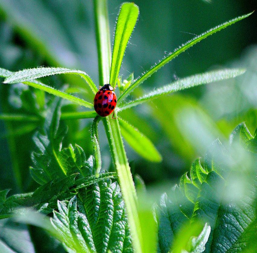 A droite... A gauche... Ou tout droit ?