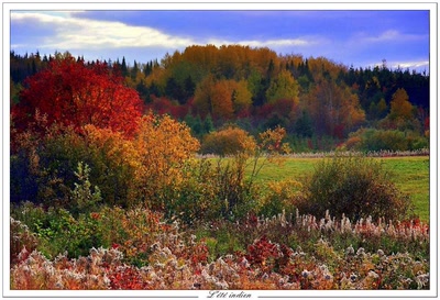 Résultat de recherche: L'été indien