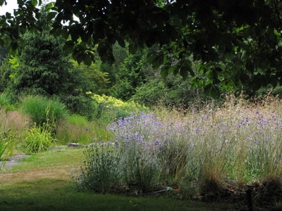 Ce que la nature nous offre de beau