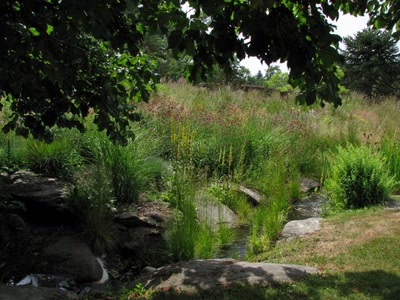 Vue depuis mon arbre