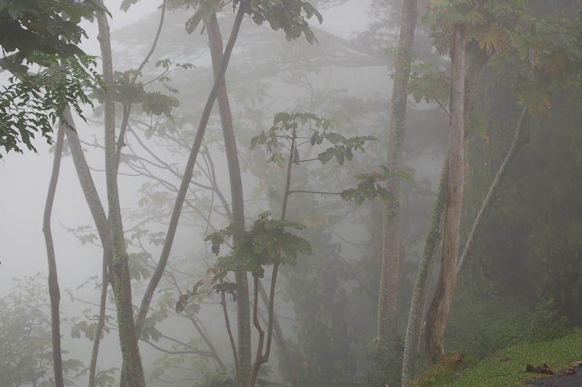 Brouillard aprés une dépression