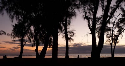 Résultat de recherche: Ermitage