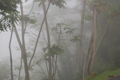 Résultat de recherche: Brouillard aprés une dépression