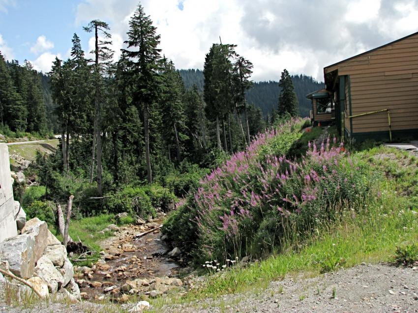 Cypress Mountain près de Vancouver