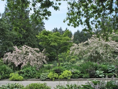 Résultat de recherche: Jardin dans Stanley Park