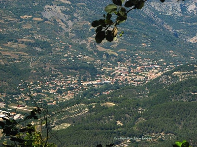 Résultat de recherche: Buis les Baronnies