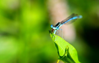 Résultat de recherche: Que cest bon de croquer ça !