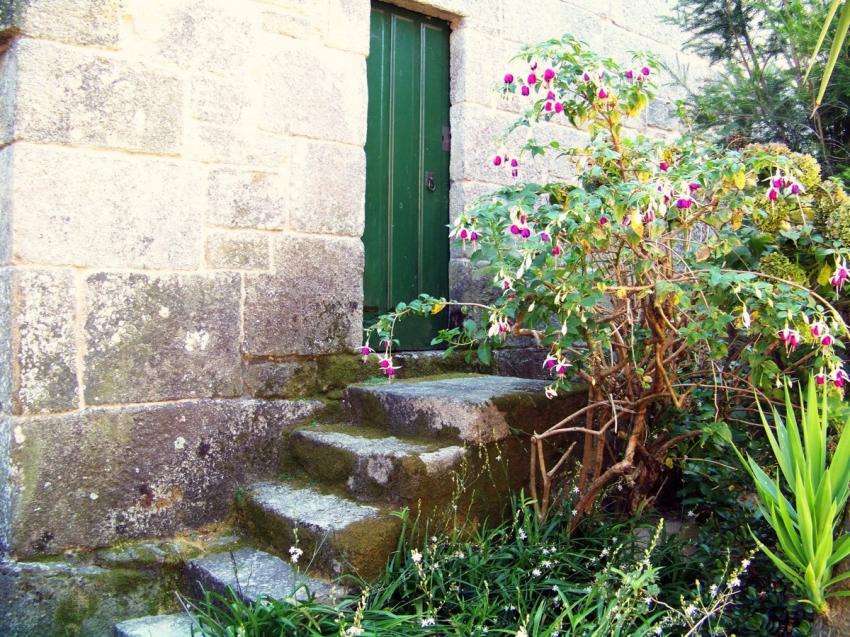 Entrée postérieure.