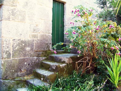 Entrée postérieure.