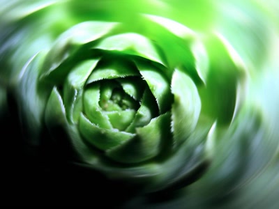 Œuvre de CocoSnoot: Verte