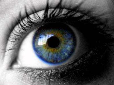 Résultat de recherche: Regard