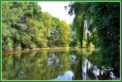 Résultat de recherche: Les bords de Loir