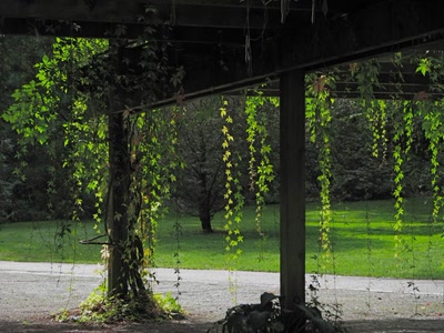 Résultat de recherche: Sous l'abris au frais