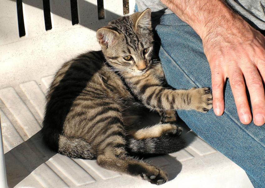 Protège-moi, j'ai peur !