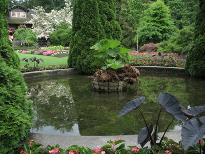 Résultat de recherche: Stanley Park Vancouver