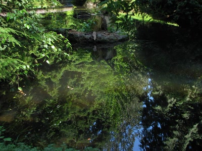 Résultat de recherche: Reflets